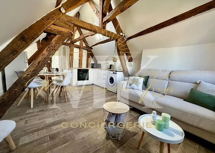 Le Cosy - Hyper Centre Ville