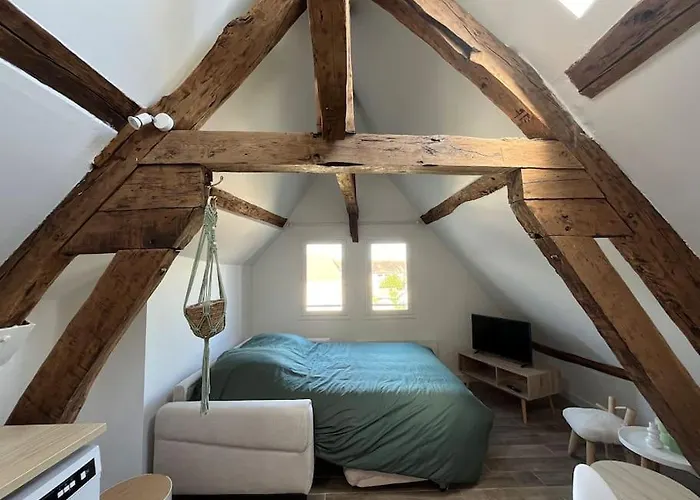 Le Cosy - Hyper Centre Ville