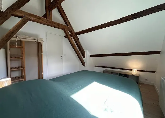 Le Cosy - Hyper Centre Ville